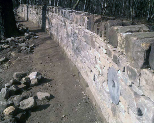 sekar-woods-boundary-during2